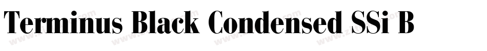 Terminus Black Condensed SSi Bold Condensed字体转换